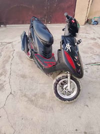 ماكس عدلة • بوشة ٥٥ • اوراق كامله