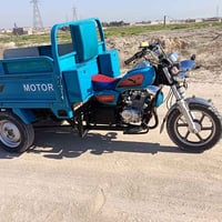 ستوته • ٢٠٢٣ • شاصي مكفول