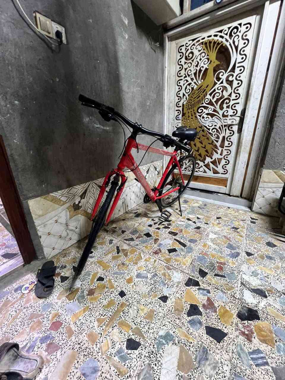 سلام عليكم 
بيسكل درجه وآله 
مال سباق وروحه بي الزياره 
امريكي الصنع بدالت وره وكدام 
سعر قفل 200


**إذا كنت صاحب هذا الإعلان وتريد حذفه لأي سبب، رجاءا أرسل رسالة إلى الدعم الفني**