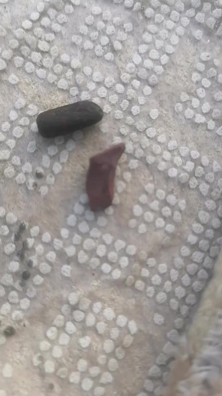 احجار مال يشن لاكطهن بيدي لا شايلهن ولا مشوفهن ولا اعرف شغلهن متاحات للبيع ***********
