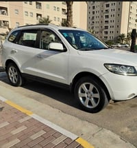 سنتافي • ٢٠١٠ • مراوس