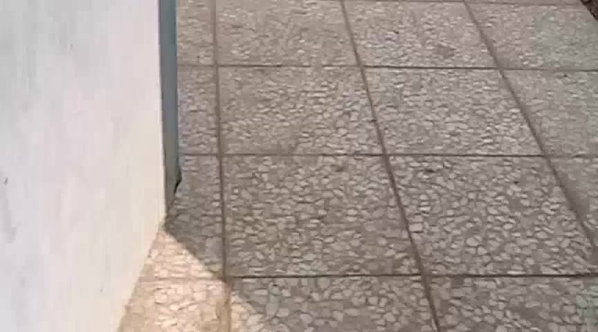 مكلفه بالنشر 

شقه للبيع طابو صرف بشقق الصحه ارضيه ركن نضيفه مثل ماموضحه بالفديو سعره 115بيها مجال بسيط اي استفسار ع رقم ***********
