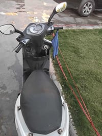 سكنس فحل للبيع مصالي فتره من منزلها رمبا بغداد الزعفرانية شارع المعهد ...