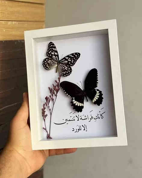 كل ماتحتاجه يوفرة الكم متجر #حكاية_ورد فقط ارسل الفكره وراح يكون عندك يوجد توصيل لكافه محافظات العراق للتواصل على الحسابات التاليه واتساب ***********
انستا h2002_m
