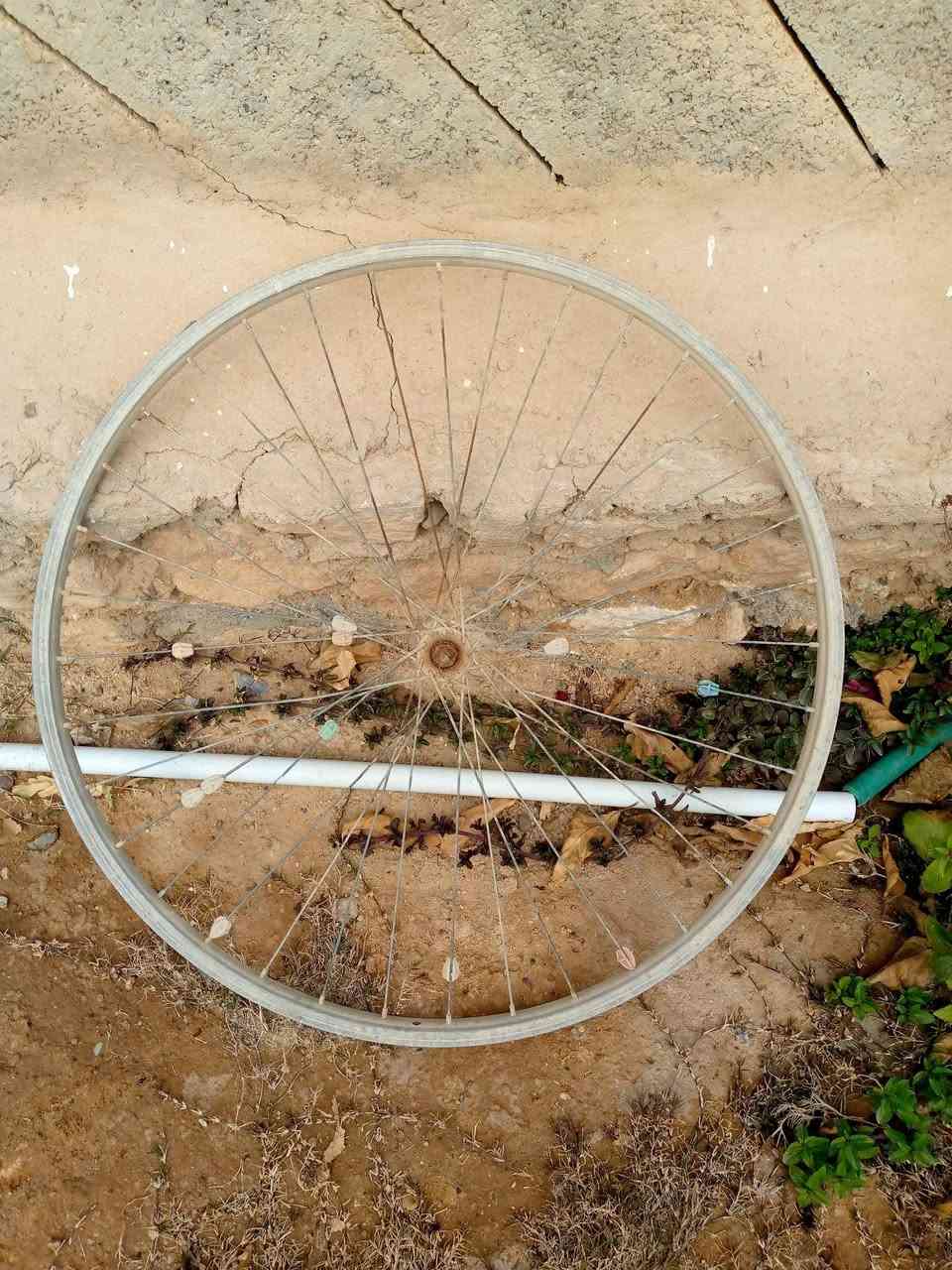 السلام عليكم ورحمة الله وبركاتة
يوجد بايسكل للبيع حجم 20 كلشي ما بي تايرات جدد بايسكل نضيف   + وياله حجم 26 جديدات عدد 2  + وياله وتايرات حجم 27 عدد 2

مكاني  حديثه بروانه حي الشرطه 

السعر وباقي التفاصيل خاص


**إذا كنت صاحب هذا الإعلان وتريد حذفه لأي سبب، رجاءا أرسل رسالة إلى الدعم الفني**