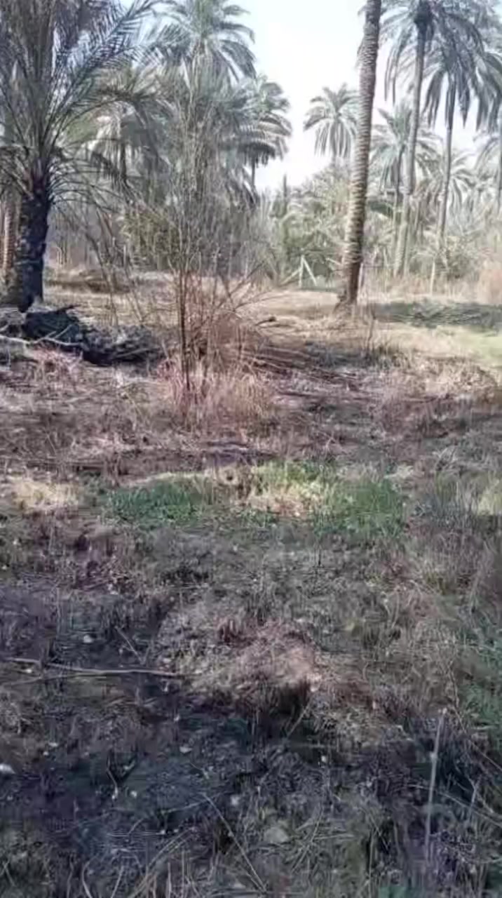 دونمين للبيع
كربلاء ــ الحسينية ــ منطقة الطف ــ البوحويمد مقابل حسينية أئمة البقيع/ مقابل مركز الشرطة الجديد 
كافة الخدمات عرض الشارع 10 متر
يبعد عن الشارع العام 300 متر
الشارع العام تبليط يؤدي إلى الإبراهيمية وإلى الجريه الأرض فلاحه فقط تحويل مباشر كافة الأسهم طابو بأسم المشتري 
 السعر 160 مليون (دونمين تقريباً)
نهر سقي مباشر خاص بالأرض
تحتوي على أكثر من 50 نخله
للإستفسار الإتصال على الرقم ***********
