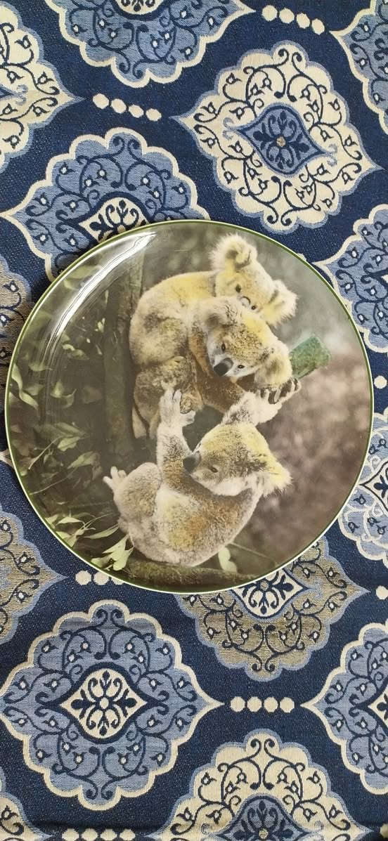 هذولا سعرهم شلع 15


**إذا كنت صاحب هذا الإعلان وتريد حذفه لأي سبب، رجاءا أرسل رسالة إلى الدعم الفني**