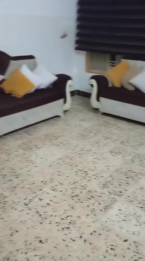 هذا التخم للبيع (***********)
