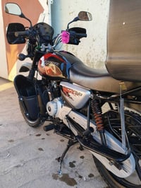 بوكسر • جبلي • موديل 2023