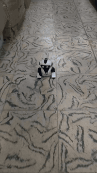 روبرت تحكم ريمونت وموسيقى تواصل واتساب 07711405681