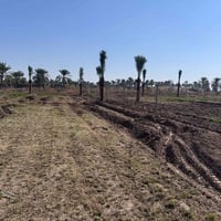 يوجد دوانم ملك طابو صرف في منطقة التويثه المدائن قرب نهر دجله مع كامل ...