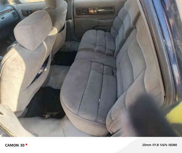 يا الله سلام عليكم دولفين للبيع موديل 1992 رقم الاماني سنويه لل27تنتهي رقم ميسان سياره خيرمن الله لاتبخير ولاتنقص حداديه زينه تخم تاير  تحويل شوكت ميعجبك اتصال وتساب‏‪***********‬‏ أبوعلي هاذ رقم راعيه
