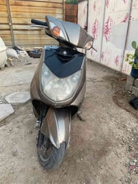 سكنس فحل نوزل للبيع  دراجه يرادلها ترتيب كله شغله وأي نقص ما بيها سلف ...
