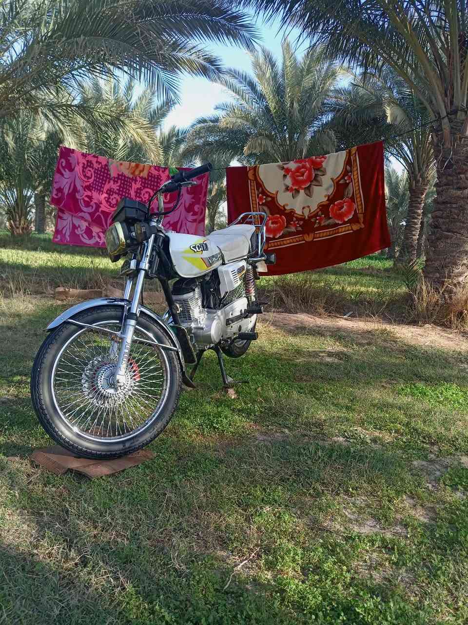 دراجه للبيع موديل 24 دراجه كفاله عامه انظف من الصوره دراجه محرك ما مفتوح اوراق كامله كهربائيات كلها شغاله مكان ديوانيه الدغاره اللي ما عنده رصيد بس يرمش انا اتصل علي عندي خدمه السعر 600 وبيها مجال بسيط كلش رقم الهاتف ***********
