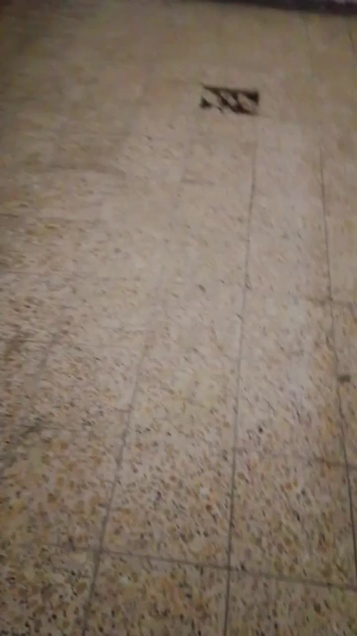 كاشي عراقي مستعمل سعر الميه 35


**إذا كنت صاحب هذا الإعلان وتريد حذفه لأي سبب، رجاءا أرسل رسالة إلى الدعم الفني**