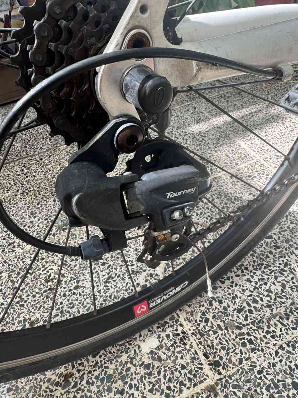 🔴بايسكل للبيع
النوع CANOVERc700 
لشه فافون +مختم Tourney+shlmano
كير وره وكدام شغاله 7 ب3
كپليون امامي 
دراجه نضيفه كدام العين
ناقصها بس فحمات دسك كدام
السعر 185وبي مجال بسيط 
الرقم للتواصل0777829660


**إذا كنت صاحب هذا الإعلان وتريد حذفه لأي سبب، رجاءا أرسل رسالة إلى الدعم الفني**