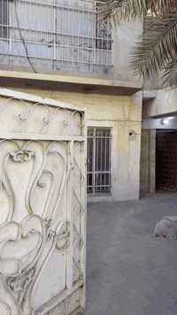 بيت لل ايجار مساحه (140) م العلام يحتوي على مدخلين(  كراج -استقبال - ص...