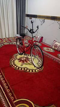 باسكل بناتي • موديل ٢٠٢١ • حجم ٢٦