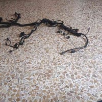 ضفيره مثيره النترا من 11 الى 15 للبيع استفسار07712700288