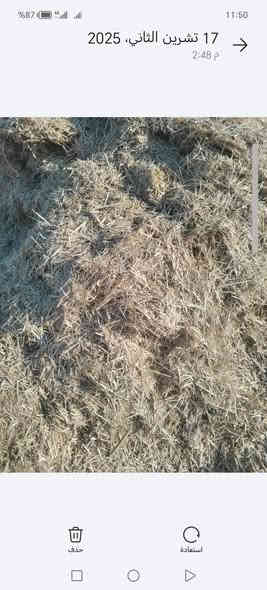 يوجد تبن درجه اولى الزوج مطروح بل مكان ترس درجة ولى السعر  3الف الرقم ***********
***********
