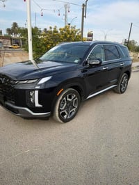 بلسايد • ٢٠٢٥ • ماشية ٤١٨٦