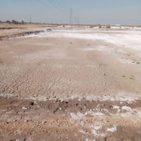 صباغيه خلف مركز الشرطه • ١٨١م • طابو زراعي