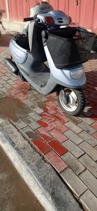 منقولي • ٢٠٠٣ • كفالة