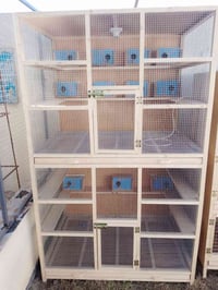 قفص بلابل-كوكتيل • ارتفاع ٢م • عرض ١٢٠سم