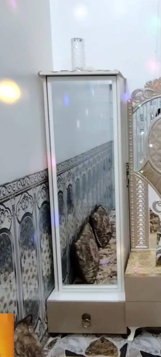 السلام عليكم غرفه خشاب للبيع السعر خاص +964 780 084 2251


**إذا كنت صاحب هذا الإعلان وتريد حذفه لأي سبب، رجاءا أرسل رسالة إلى الدعم الفني**
