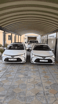 للبيـع كـورلات عــدد ♕2♕ ♕2025♕ شكـل الخليجي هايبـرد محجــوزة للمصــرف...