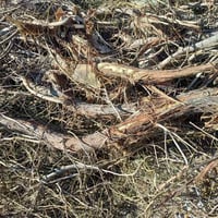 خشب للبيع 07859064171