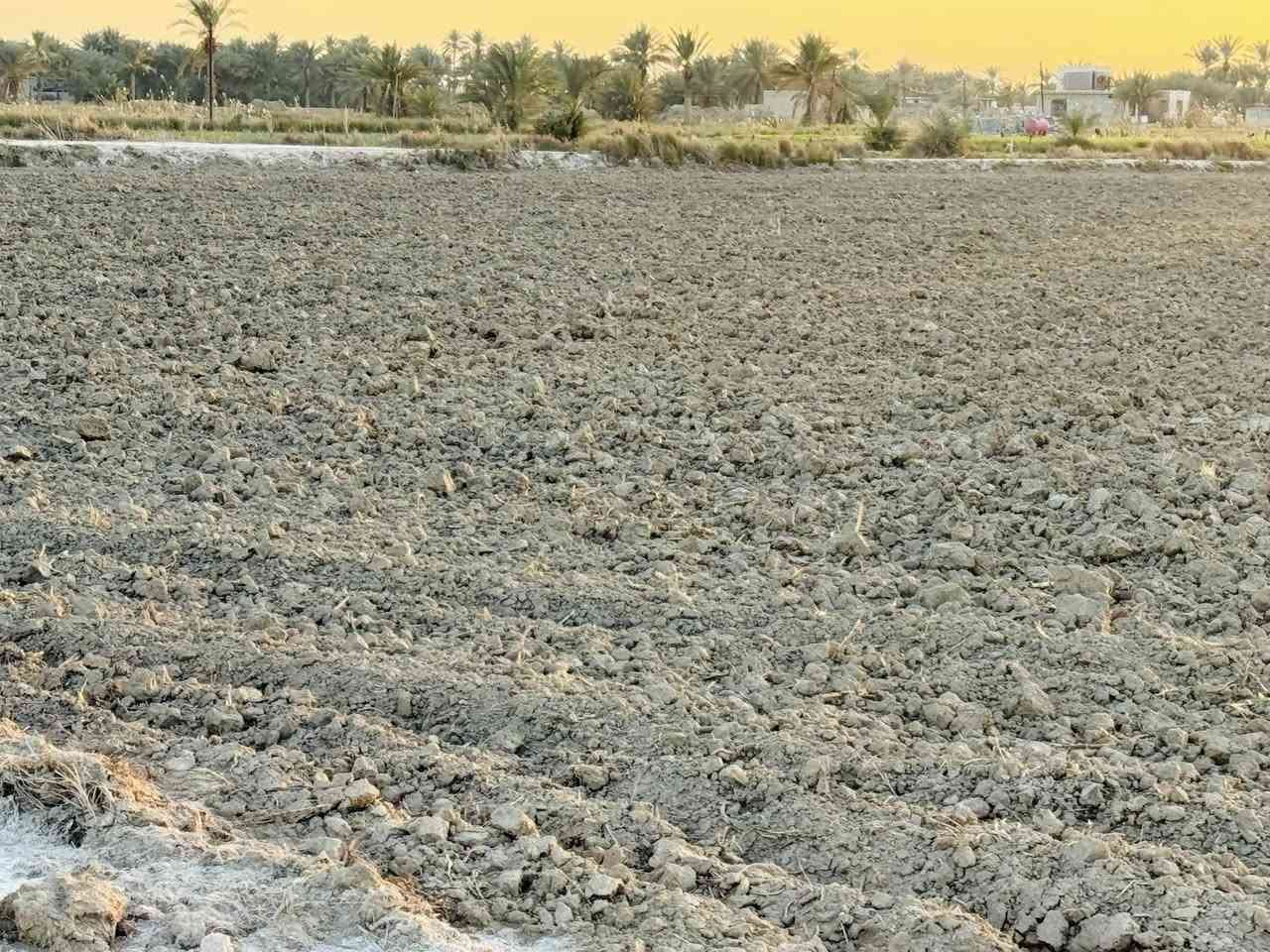 أرض زراعية مساحة( 4 دونم )  ، عقد زراعي ١١٧ ( عبد الكريم قاسم ) .
، تقع في منطقة ام نعجة ، طريقها  عمود ٢٥٦ طريق نجف - كربلاء. او مفرق الكفل قرب سيد يحيى 
يتوفر فيها كافة الخدمات ( ماء سقي - ماء اسالة _ كهرباء )

للاستفسار خـــــــــــاص او اتصال  ***********
