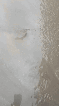 *********** عمي هاذ شقلنه شقلنه صب ول سعر مناسب ولي يريد ينتصل عله هاذ رقم
