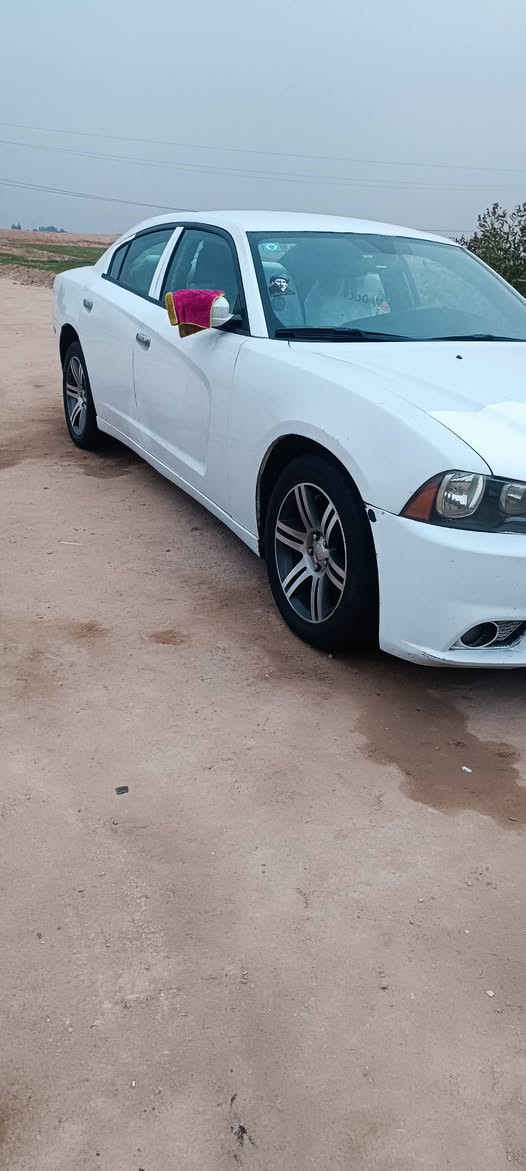 جارجر 11
رقم ذي قار دولي سياره كامله من كلشي 
مكينه كير كفاله جديده ستوني مبدلهن 
دبلات لوي اماي خلفي جديد 
غرفه حضن جديد   وارد امريكي جاملق وبنيد وبيه قطعتين بلعراق  اثر خياس لا ضربه ولا معجون كفاله 
وبيه رشات مال جراد سياره كفاله من لضربه بس مال لوارد مكان كربلاء  
رقم ***********
سعر 125
