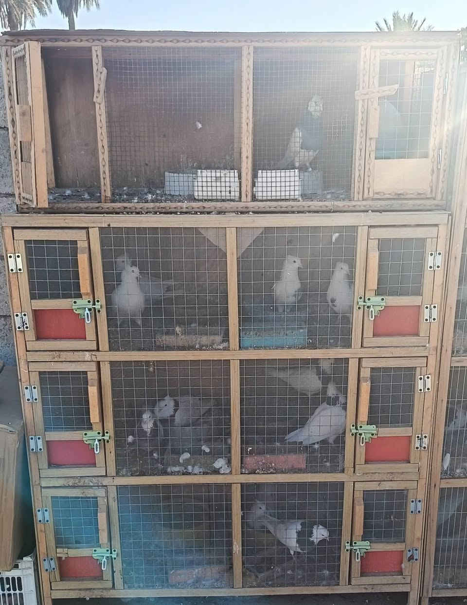 سلام عليكم
خانات شغل ممتاز أرضية الخانه 5 سانتيم سيم مانع البك نضيفات خانه آم 6 وخانه آم 4 ولي فوك خانتين فقط
السعر كامل 150
***********
