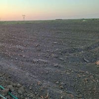 دونم اونص مدخل قرية الجوز الشرقي ع شارع طابو ملك صرف زراعي سند بسمي  ت...