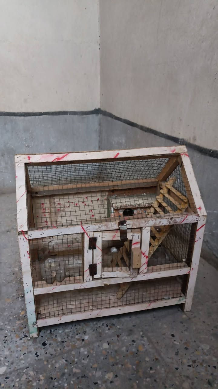 للبيع غراض منزليه
مجمده وجرباية طفل ومكيف وميز طعام وقفص طيور


**إذا كنت صاحب هذا الإعلان وتريد حذفه لأي سبب، رجاءا أرسل رسالة إلى الدعم الفني**