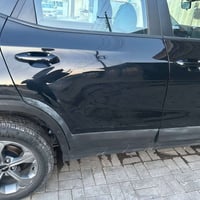 سيلتوس اسود • وارد كندي • رقم اربيل