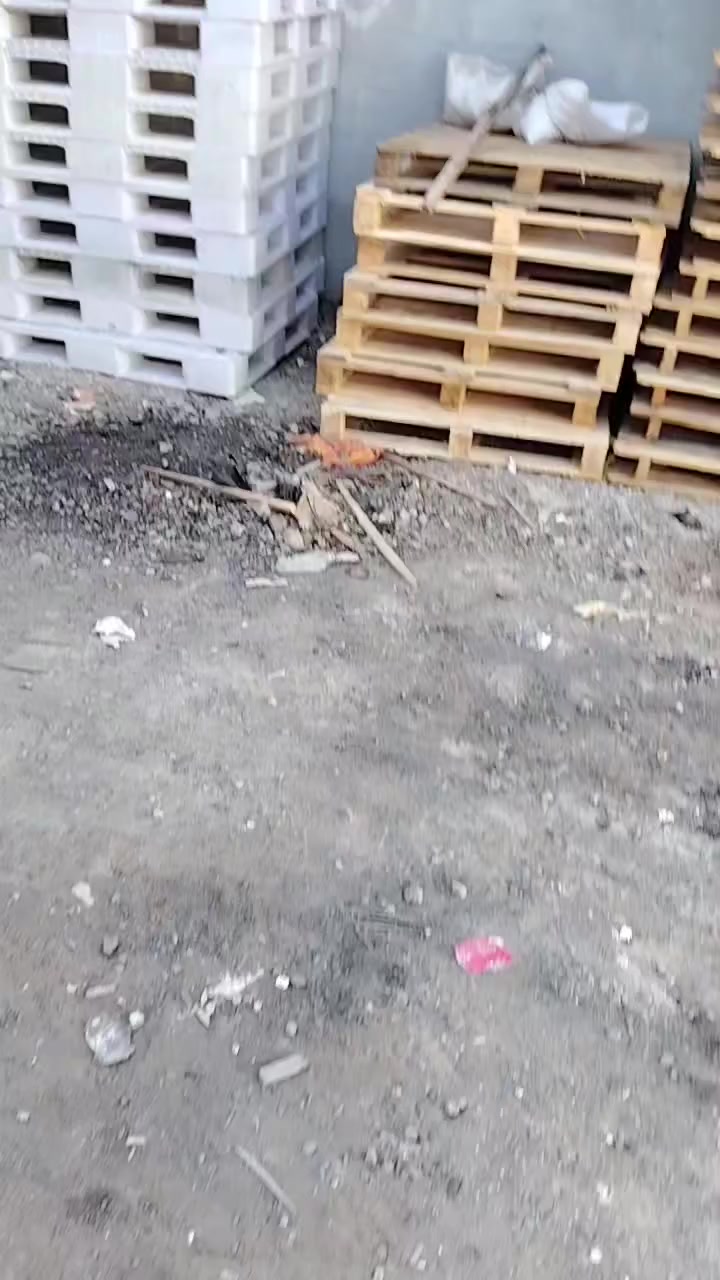 اسكيب بلاستك وزن 18 كيلو
القياس 130 /110.      العدد 1000. قطعه 
يوجد توصيل داخل بغداد.       ***********
