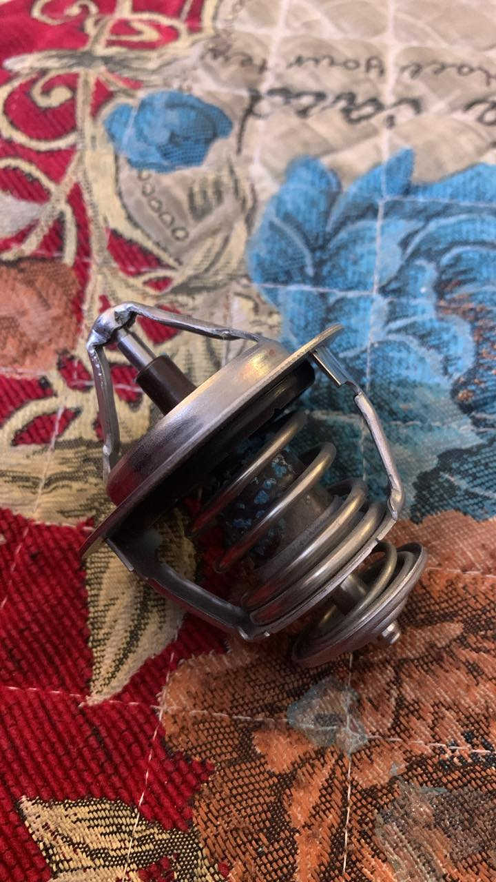 سلام عليكم ولف  حماوه مالكصه 20 الف ***********
