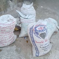 رمل • جص • بالمجان