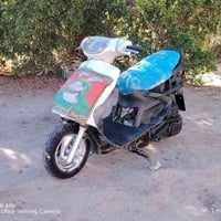 فراشه • شلعه • السماوه