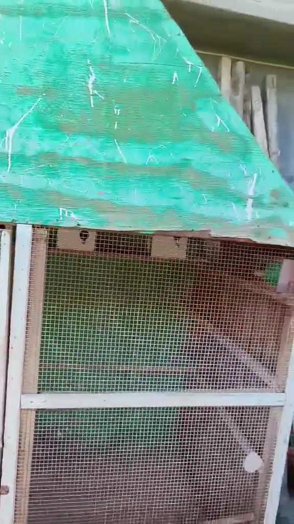 قفص للبيع الطول مترين الارتفاع 3 امتار النزال 120 قفص تكمه


**إذا كنت صاحب هذا الإعلان وتريد حذفه لأي سبب، رجاءا أرسل رسالة إلى الدعم الفني**