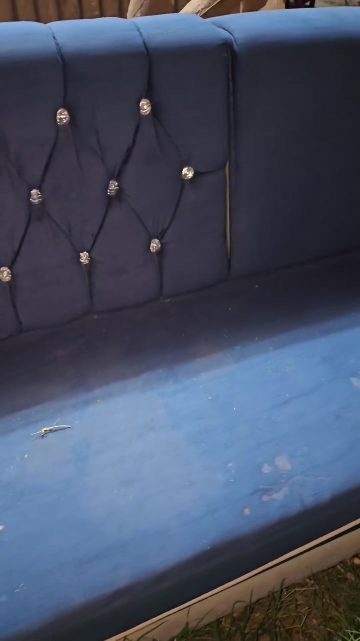 السلام عليكم
عندي هذني للييت ديوان 
وبابين pvc
وتانكي مي ١٠٠٠ لتر 
قيم واخذهن بما يرضي الله


**إذا كنت صاحب هذا الإعلان وتريد حذفه لأي سبب، رجاءا أرسل رسالة إلى الدعم الفني**