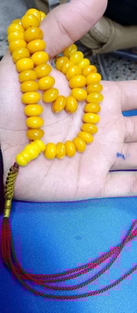 بولوني • قديم • ٣٣غرام