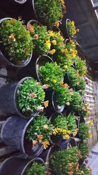 استره • قرب مجمع العسافي • للبيع