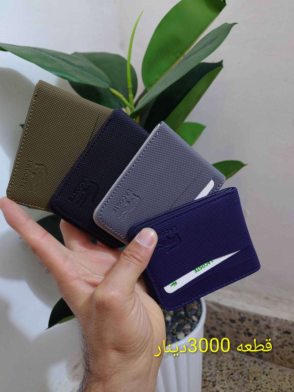 سعر قطعه 3 
يوجد توصيل بغداد, العراق


**إذا كنت صاحب هذا الإعلان وتريد حذفه لأي سبب، رجاءا أرسل رسالة إلى الدعم الفني**