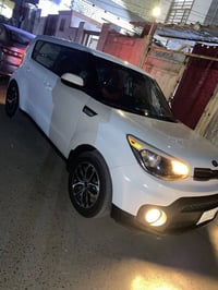 ٢٠١٩ • وارد امريكي • حادث وصبغ