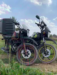 بوكسر • ثنين • اوراق اصولي