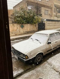 محرك وكير شرط • رقم نينوى • بدون صبغ